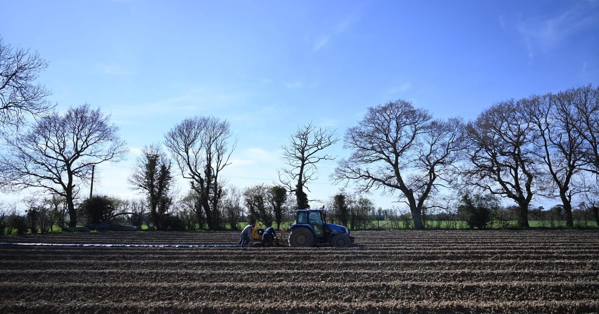Brussels heads for a fall fight over limiting subsidies to big farms