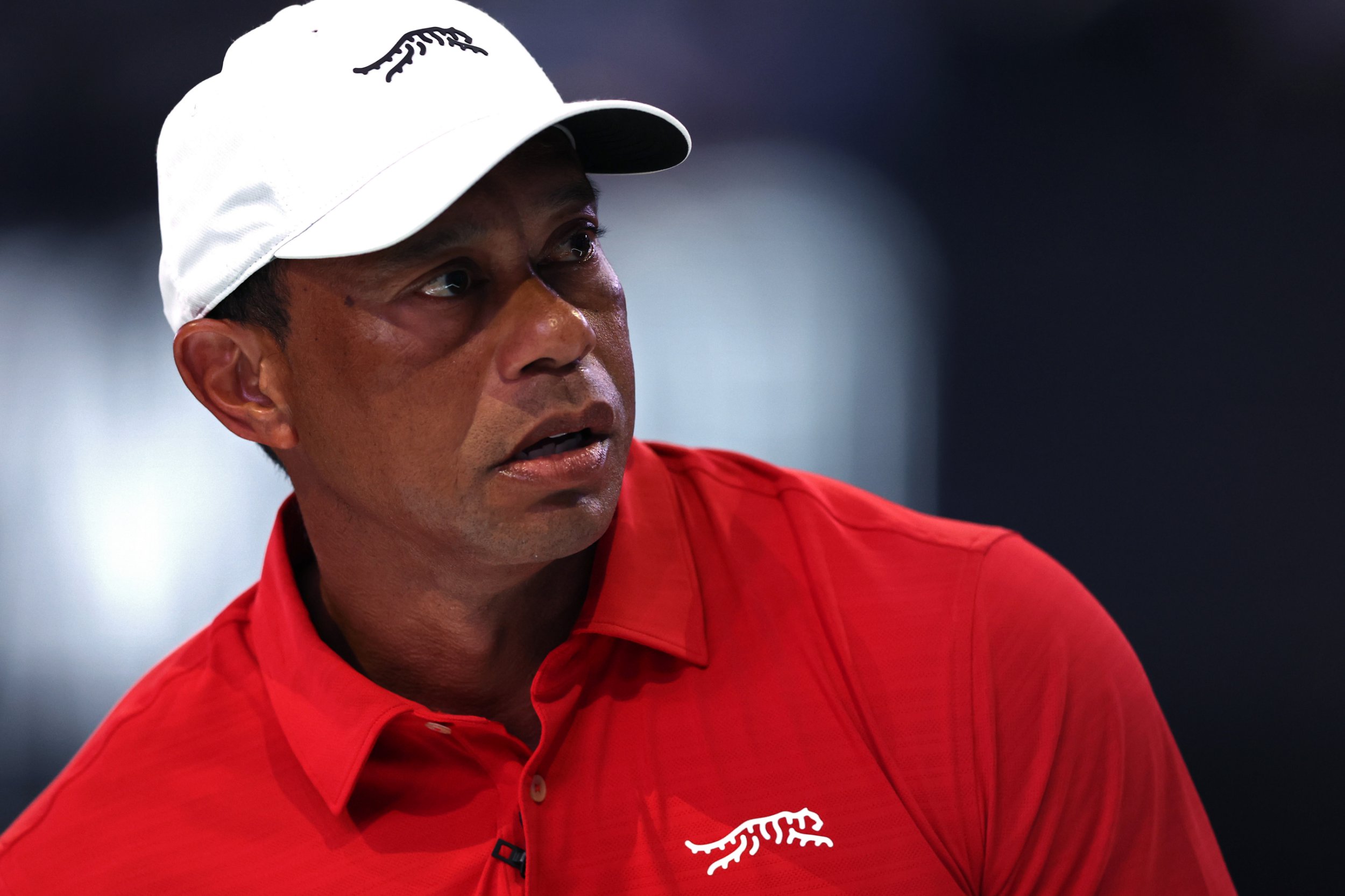 Tiger Woods makes first statement since car crash arrest and vows to ‘step away and seek treatment’