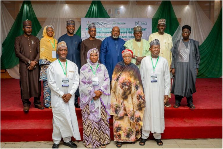 NITDA Borno digital economy